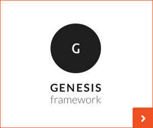 Genesis Theme Framework for WordPress